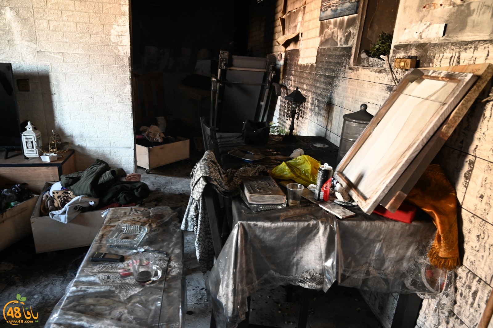 WhatsApp Image 2023-08-03 at 6.56.39 PM.jpeg